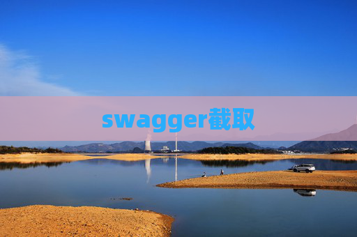 swagger截取